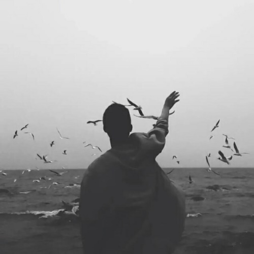 漫卡俱樂部的頭像